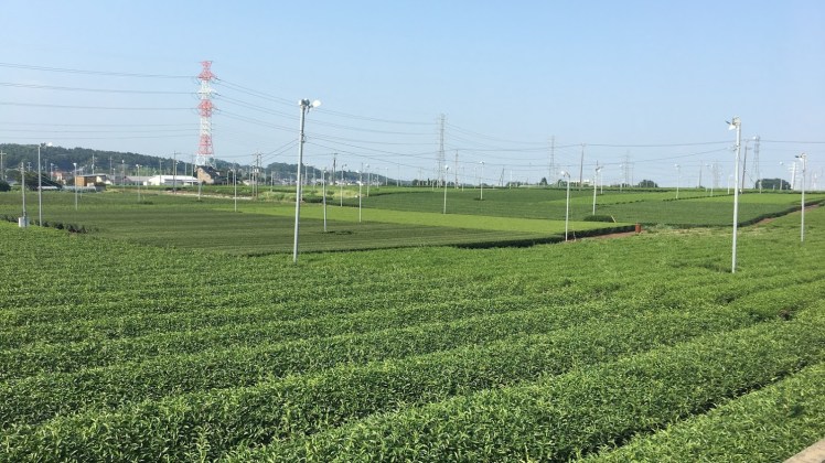 Snapseedjohnsontown17