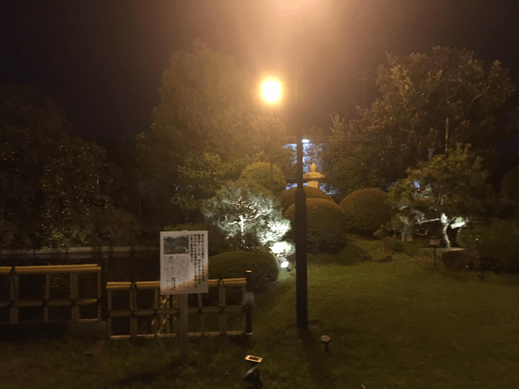 71182869_2447597272001771_7514809509357813760_o